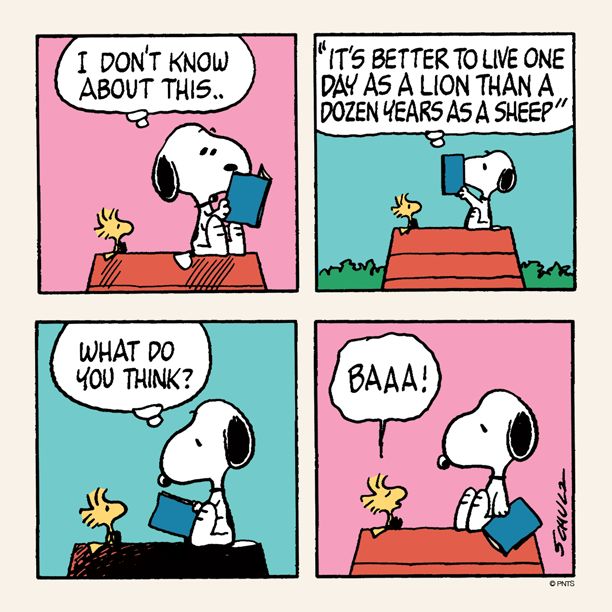 snoopy-on-divorce